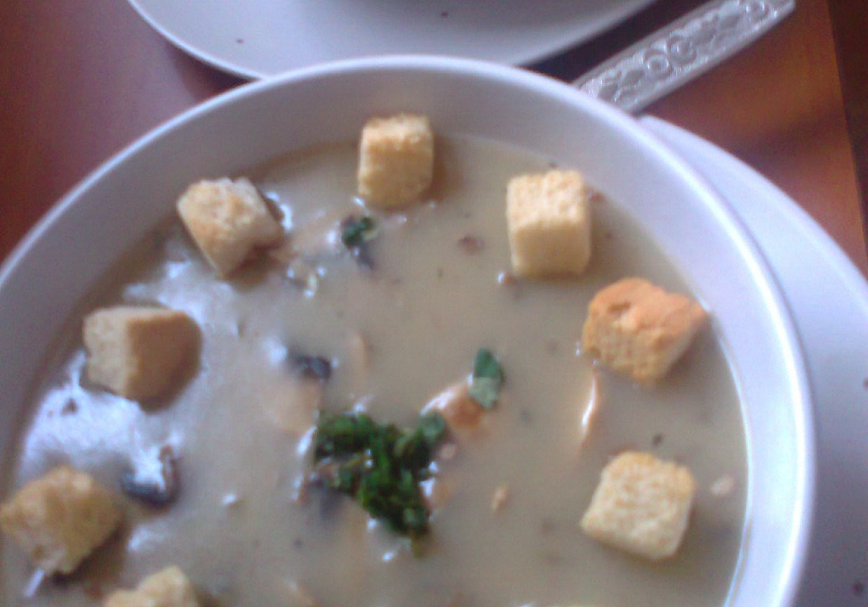 Zupa pieczarkowa wg Joli foto