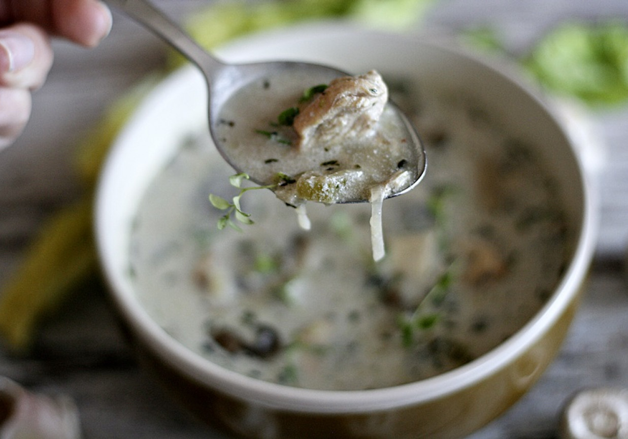 Zupa pieczarkowa z kurczakiem foto