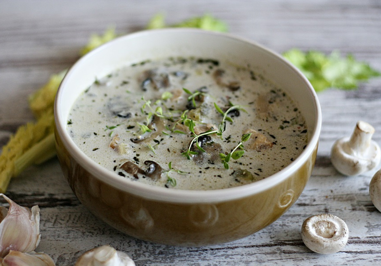 Zupa pieczarkowa z kurczakiem foto