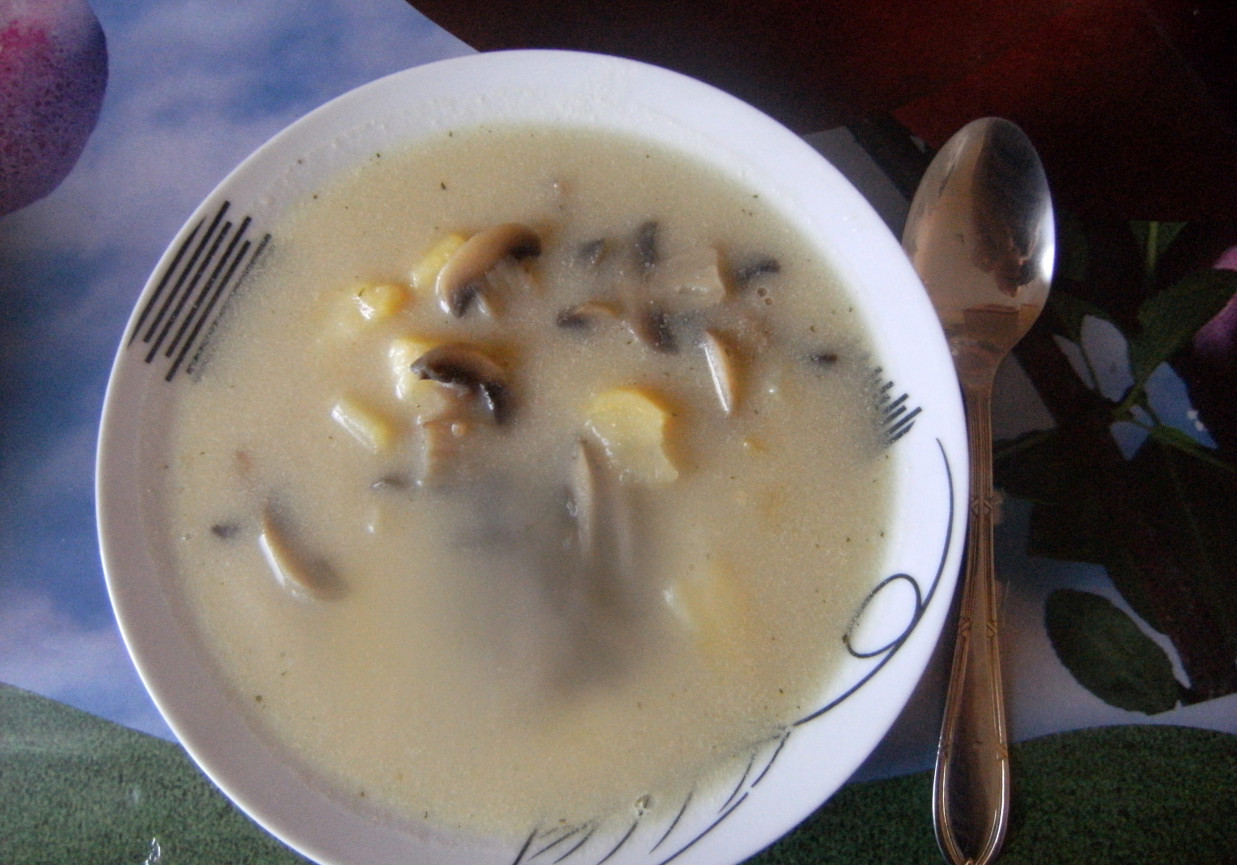 Zupa pieczarkowa z makaronem i ziemniakmi foto