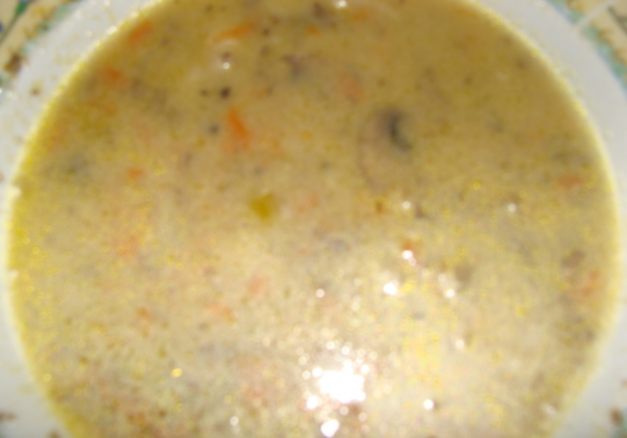 Zupa pieczarkowa z makaronem świderki foto