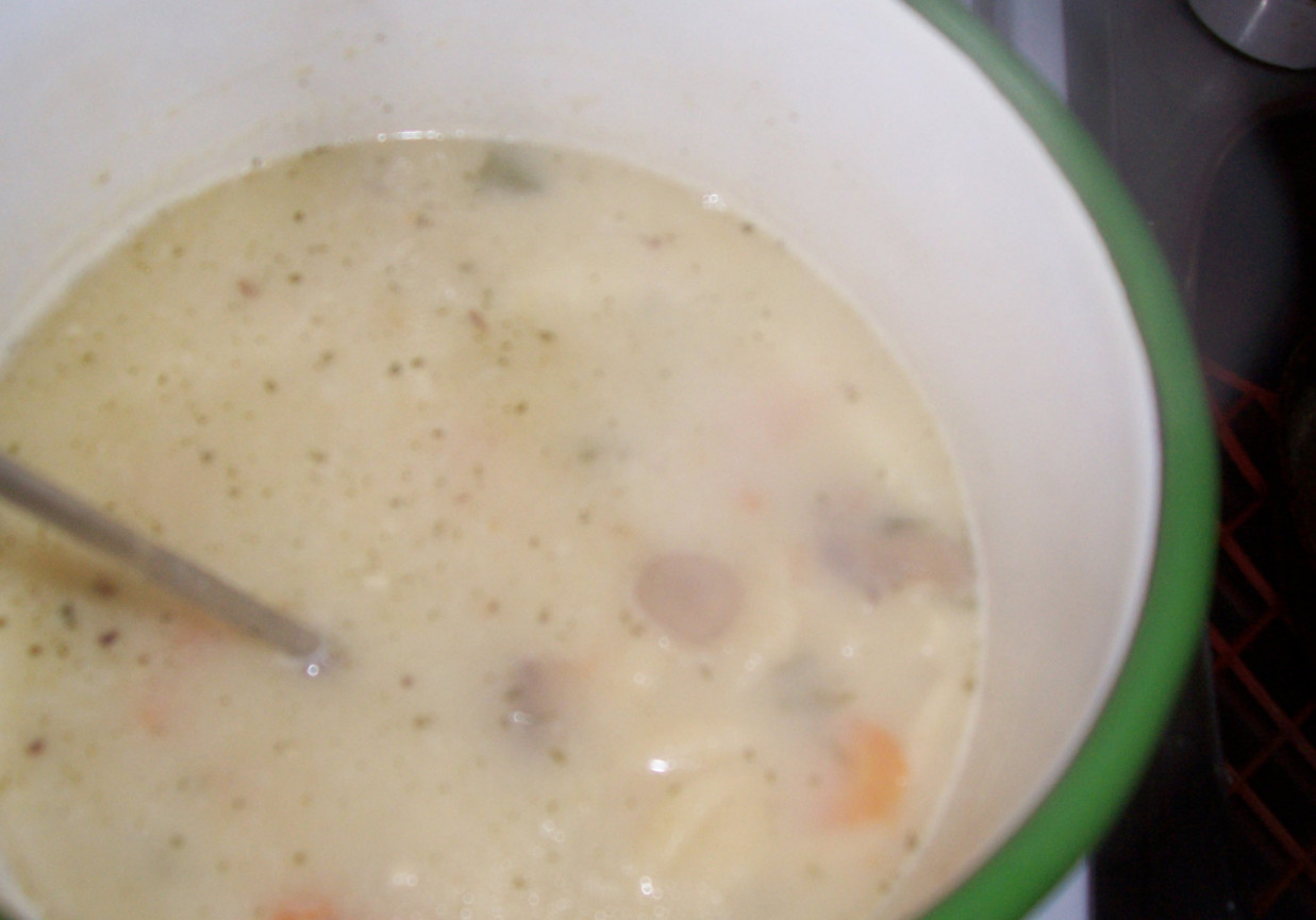 zupa pieczarkowa z makaronem foto