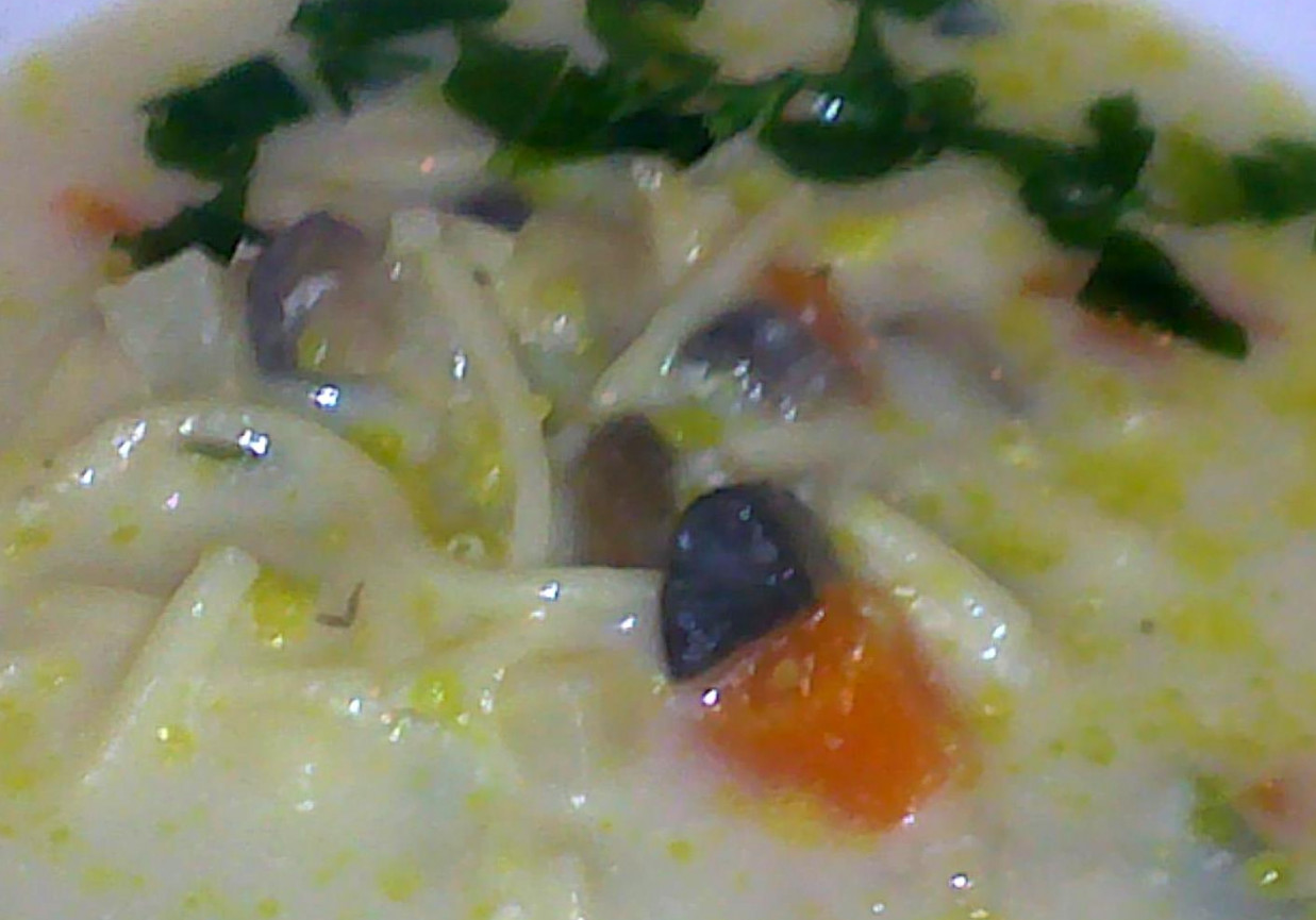 Zupa Pieczarkowa z Makaronem foto