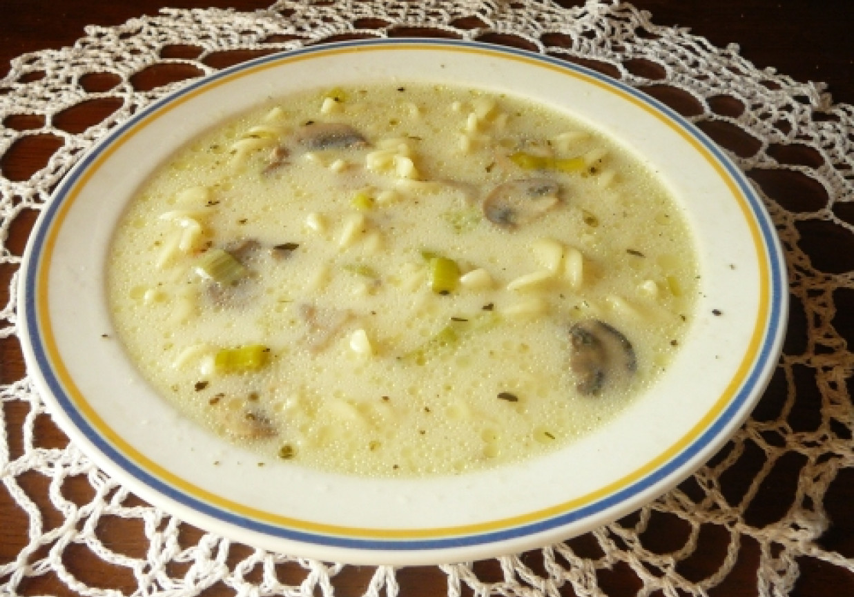 Zupa pieczarkowa z porami foto