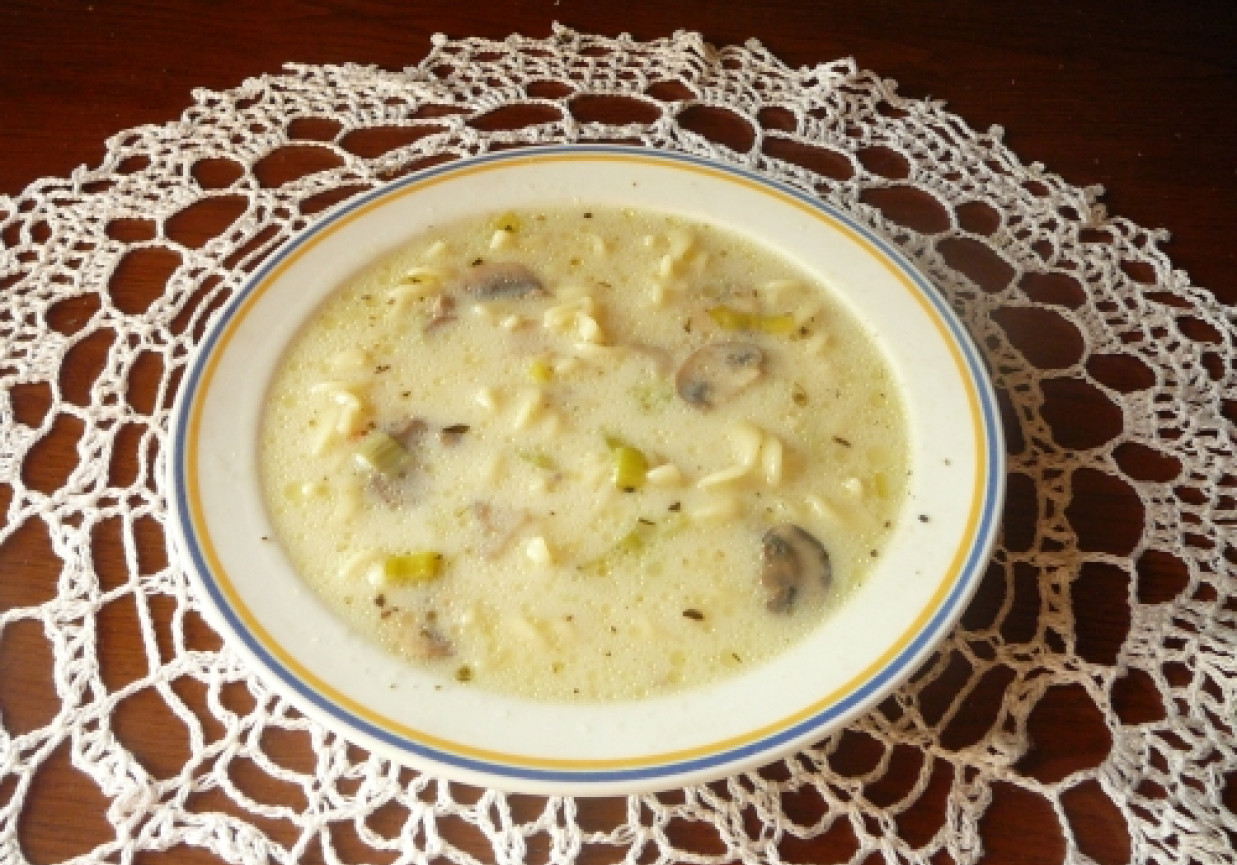 Zupa pieczarkowa z porami foto