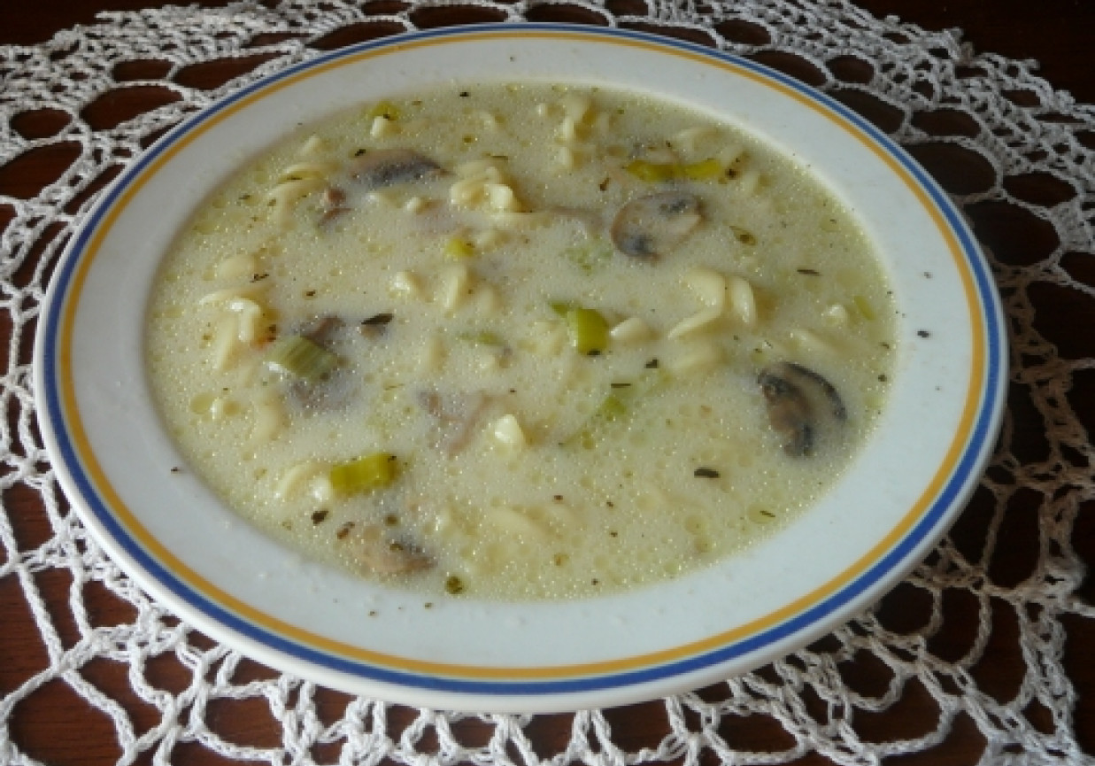 Zupa pieczarkowa z porami foto