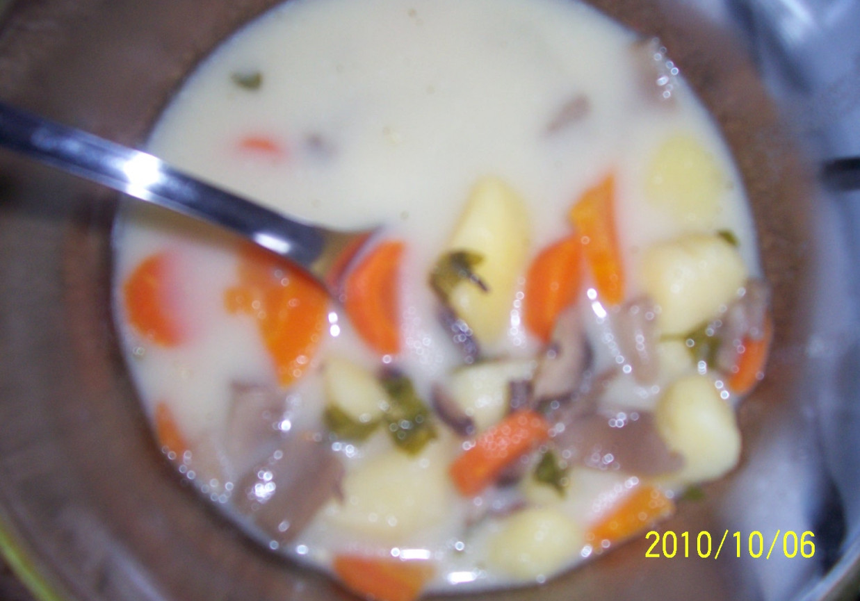 zupa pieczarkowa z ziemniakami foto