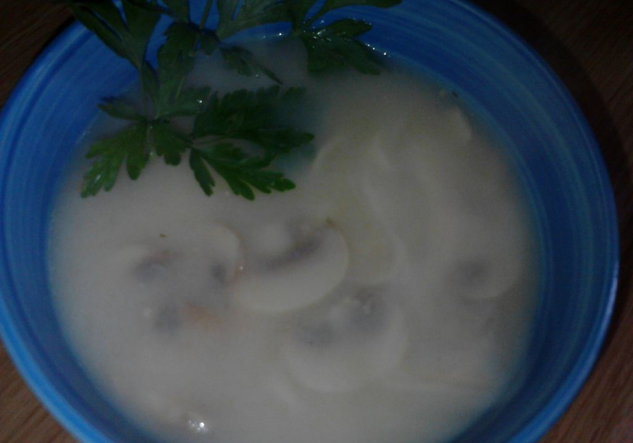 Zupa pieczarkowa foto