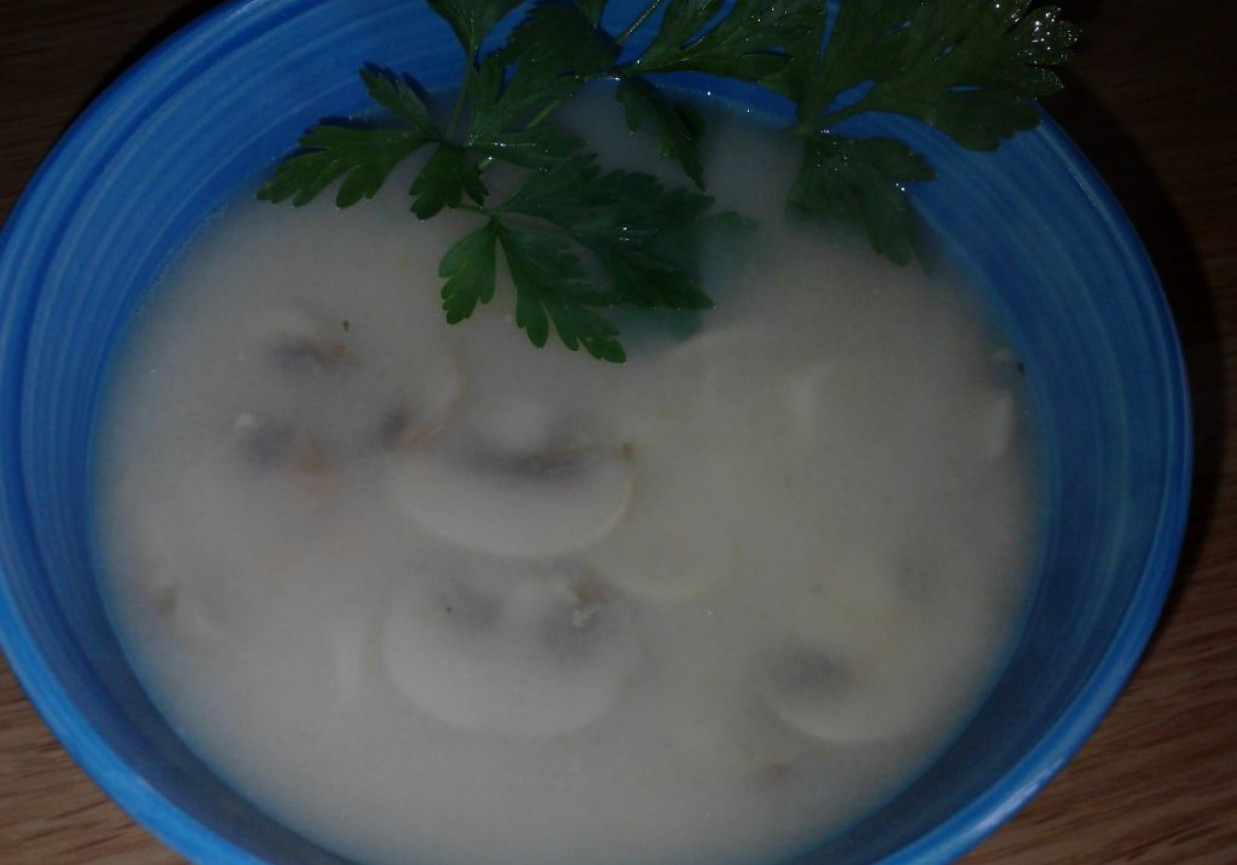 Zupa pieczarkowa foto