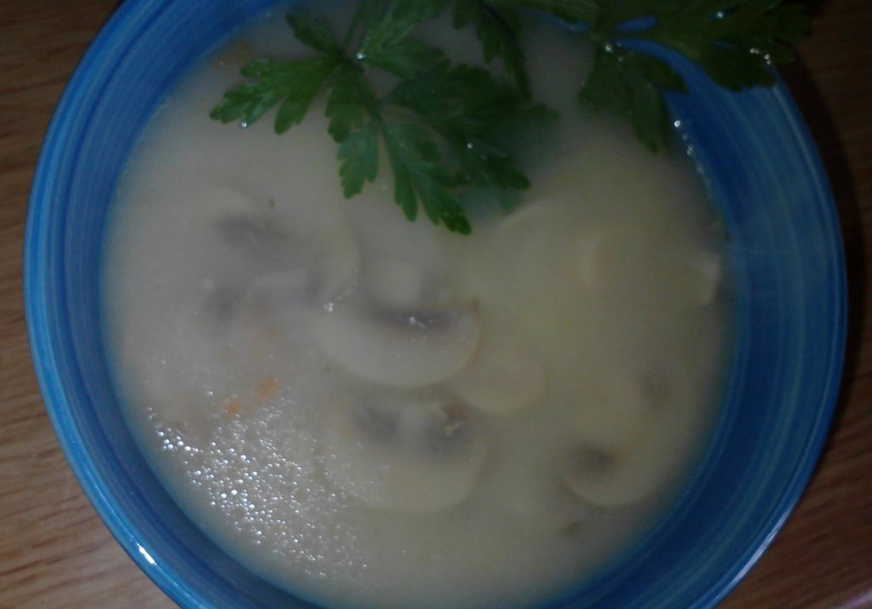 Zupa pieczarkowa foto
