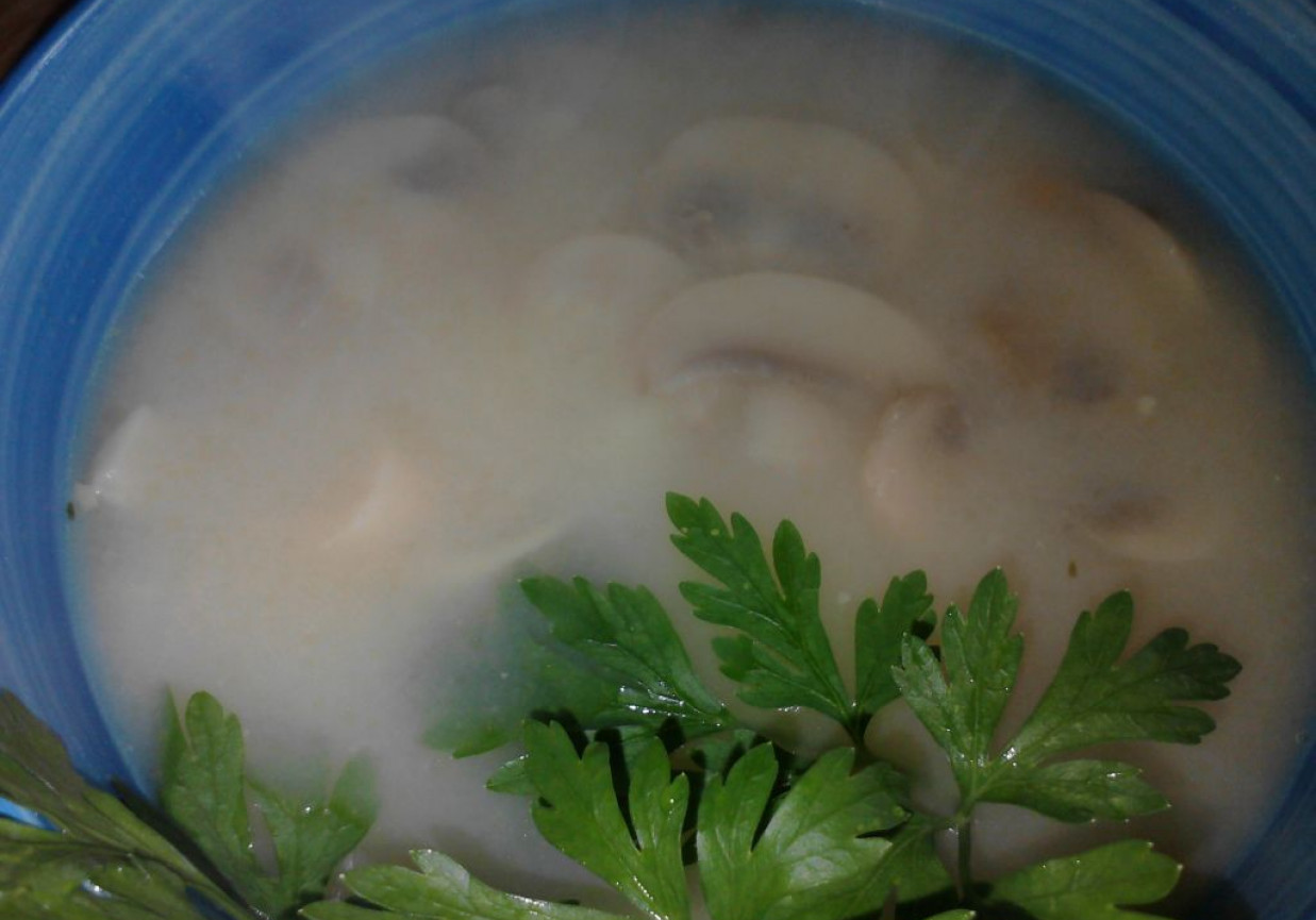 Zupa pieczarkowa foto