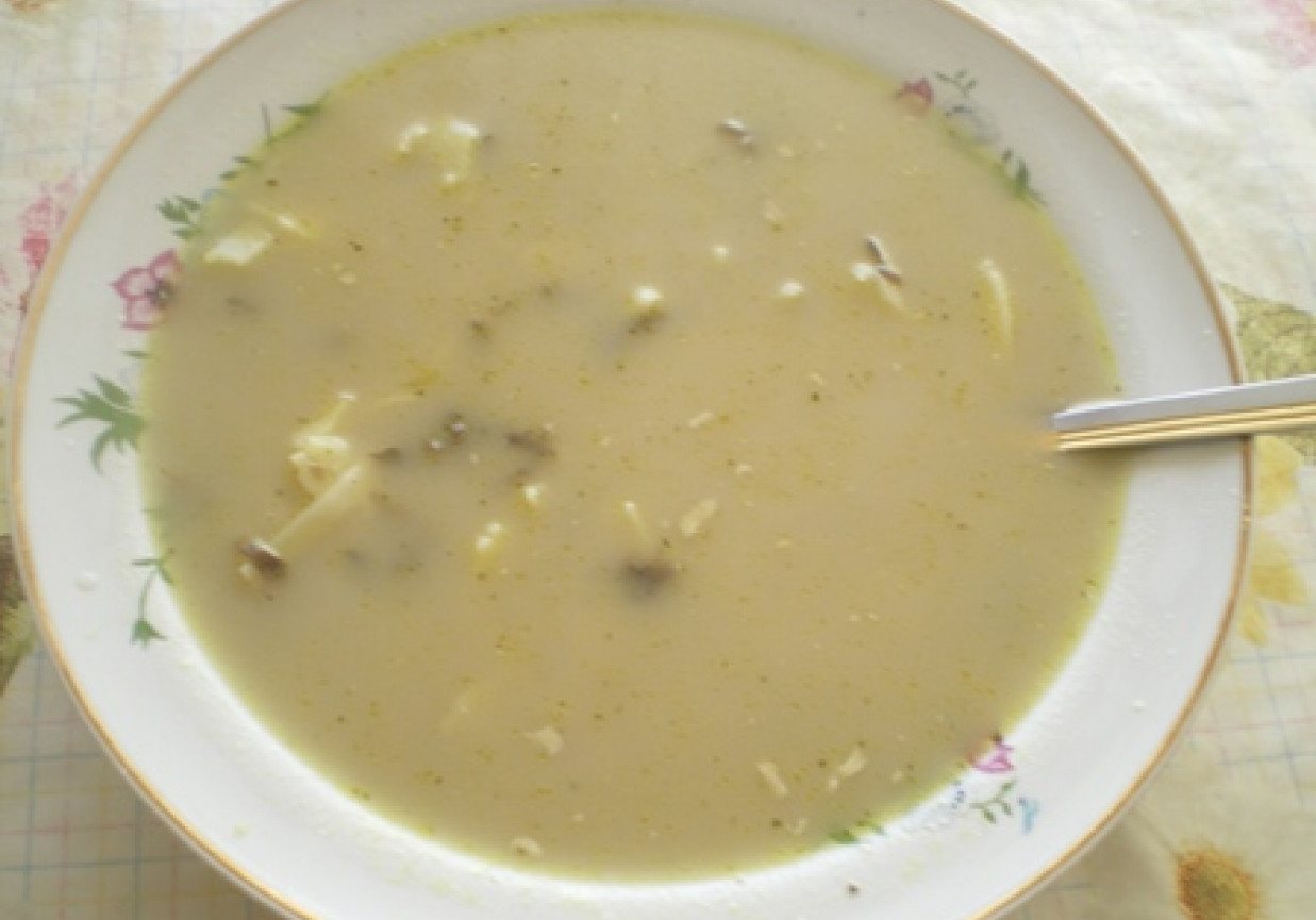Zupa Pieczarkowa foto