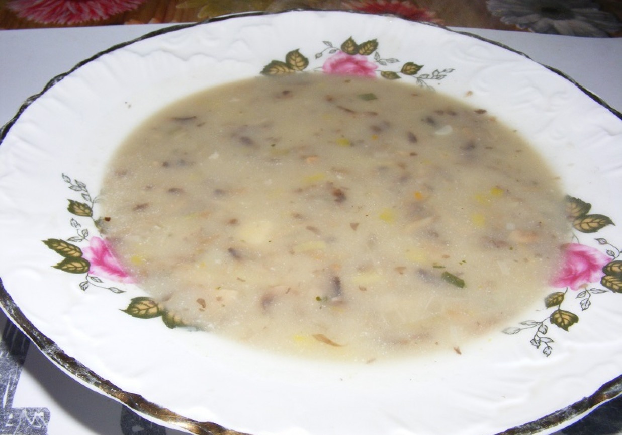 Zupa pieczarkowo-porowa foto