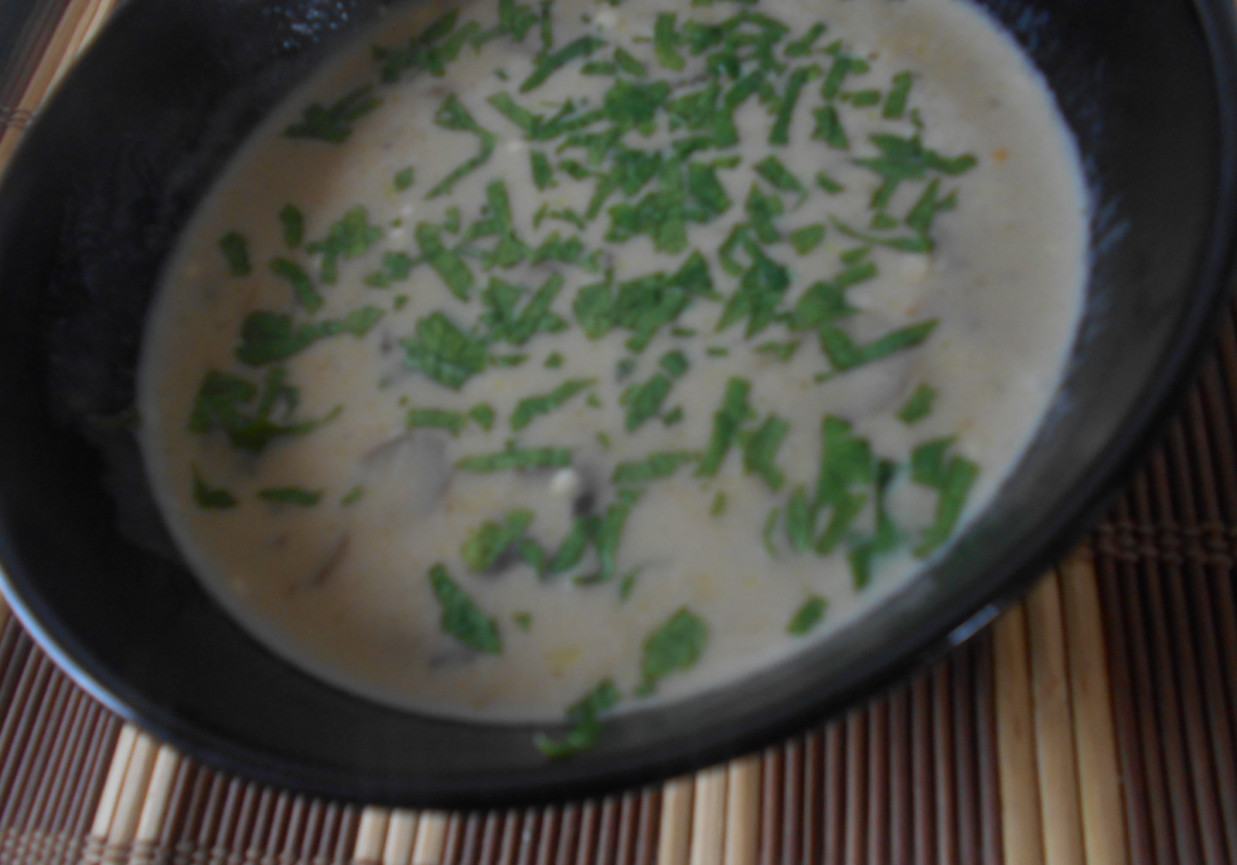 Zupa pieczarkowo-serowa foto