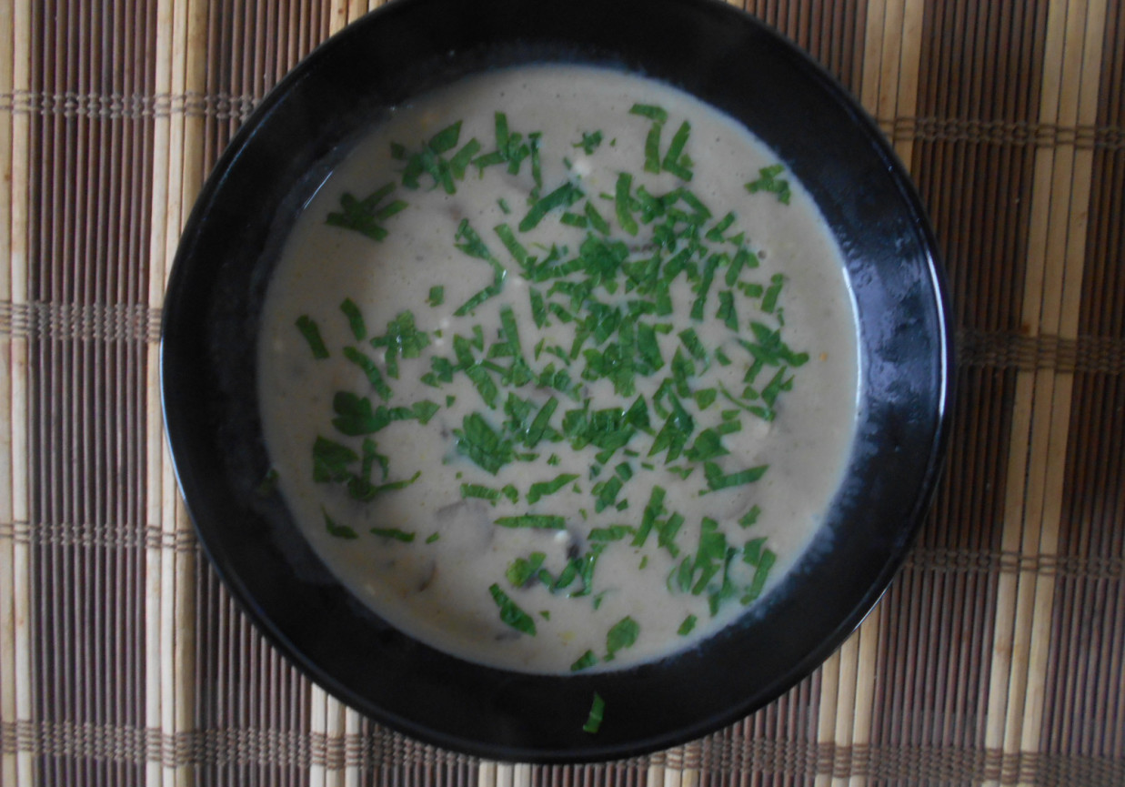 Zupa pieczarkowo-serowa foto