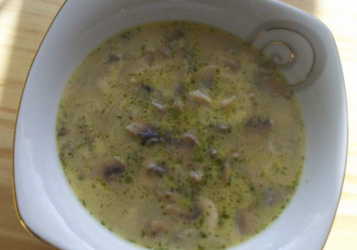 Zupa pieczarkowo - serowa foto