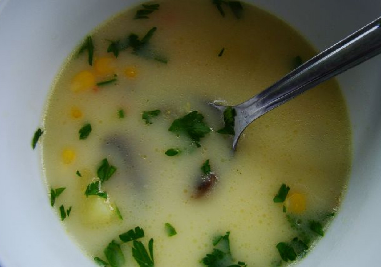 Zupa pieczarkowo-kukurydziana foto