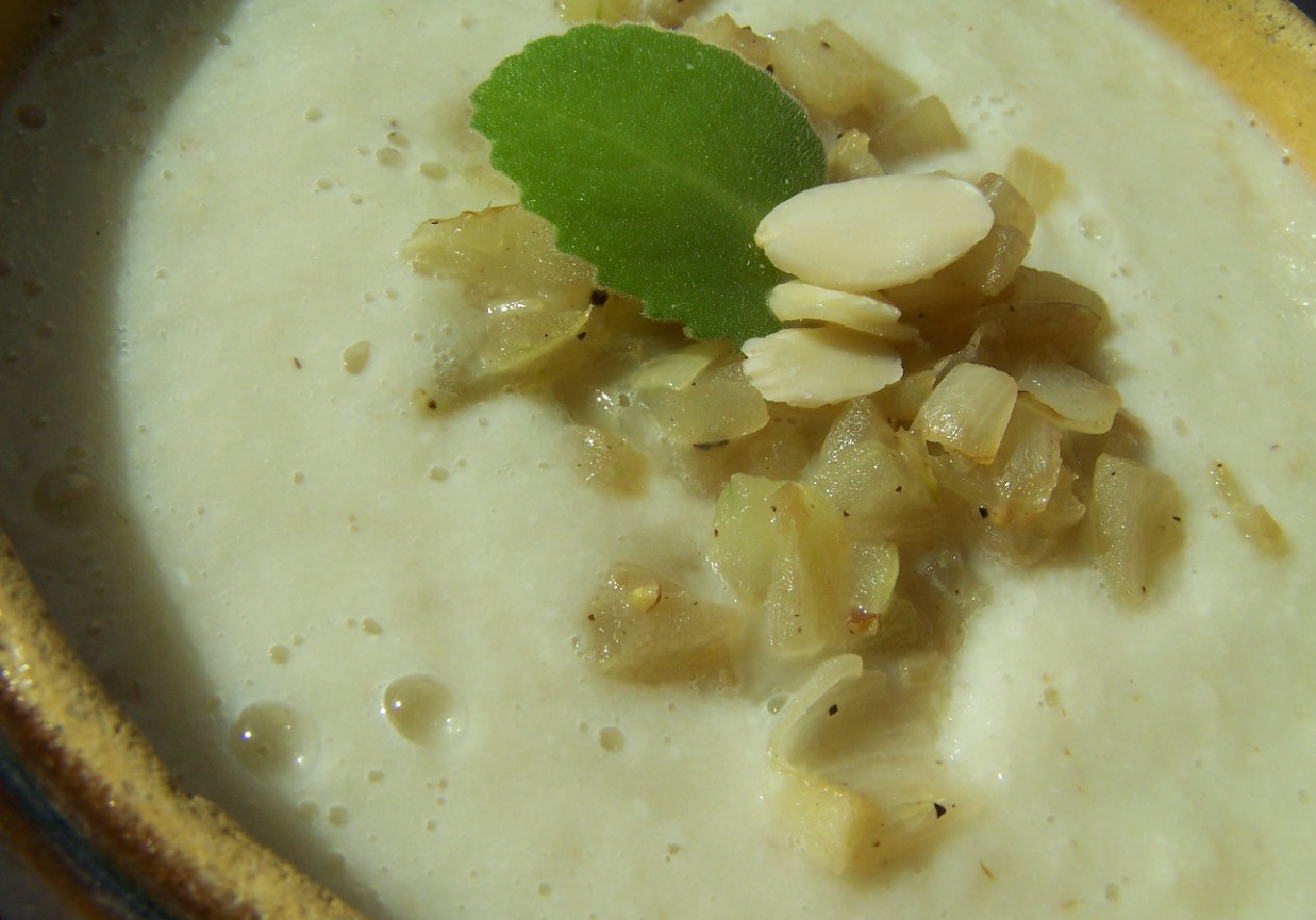 zupa pietruszkowo migdałowa ze smażoną cebulką foto