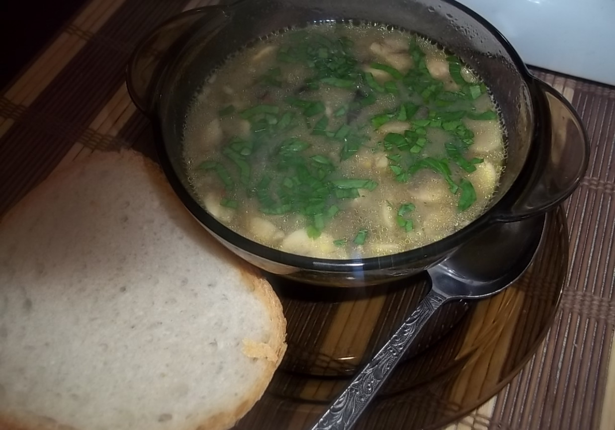 Zupa podwójnie grzybowa foto