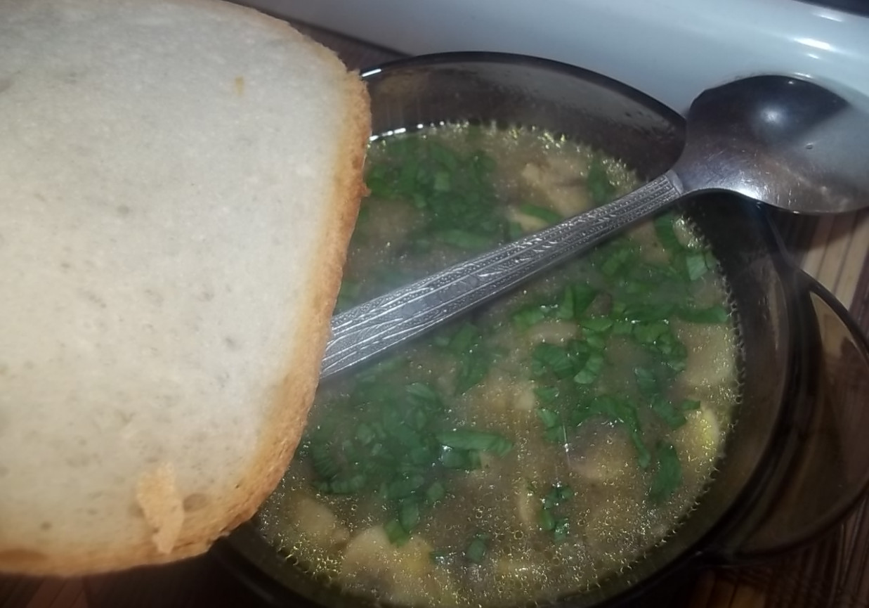 Zupa podwójnie grzybowa foto