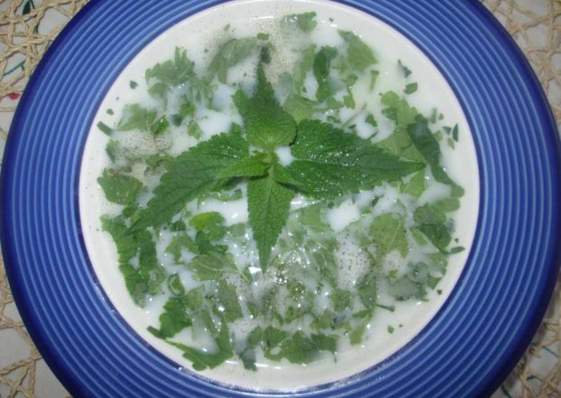 Fotografia przedstawiająca Zupa pokrzywowa (z kuchni Bułgarskiej)