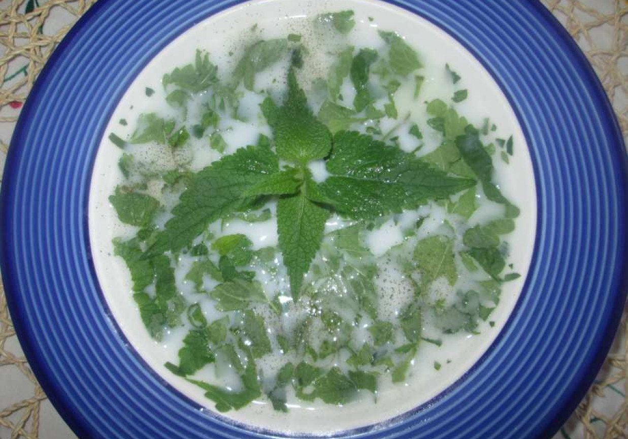 Zupa pokrzywowa (z kuchni Bułgarskiej) foto