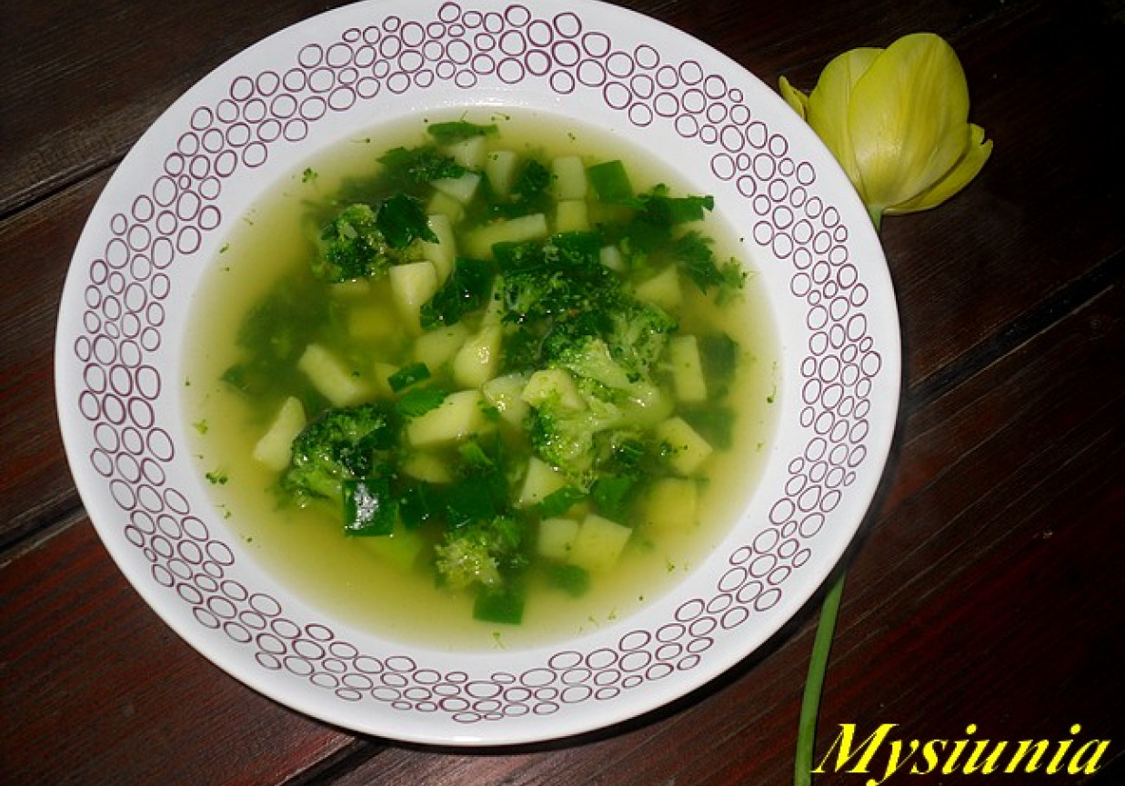 Zupa pokrzywowo – brokułowa foto