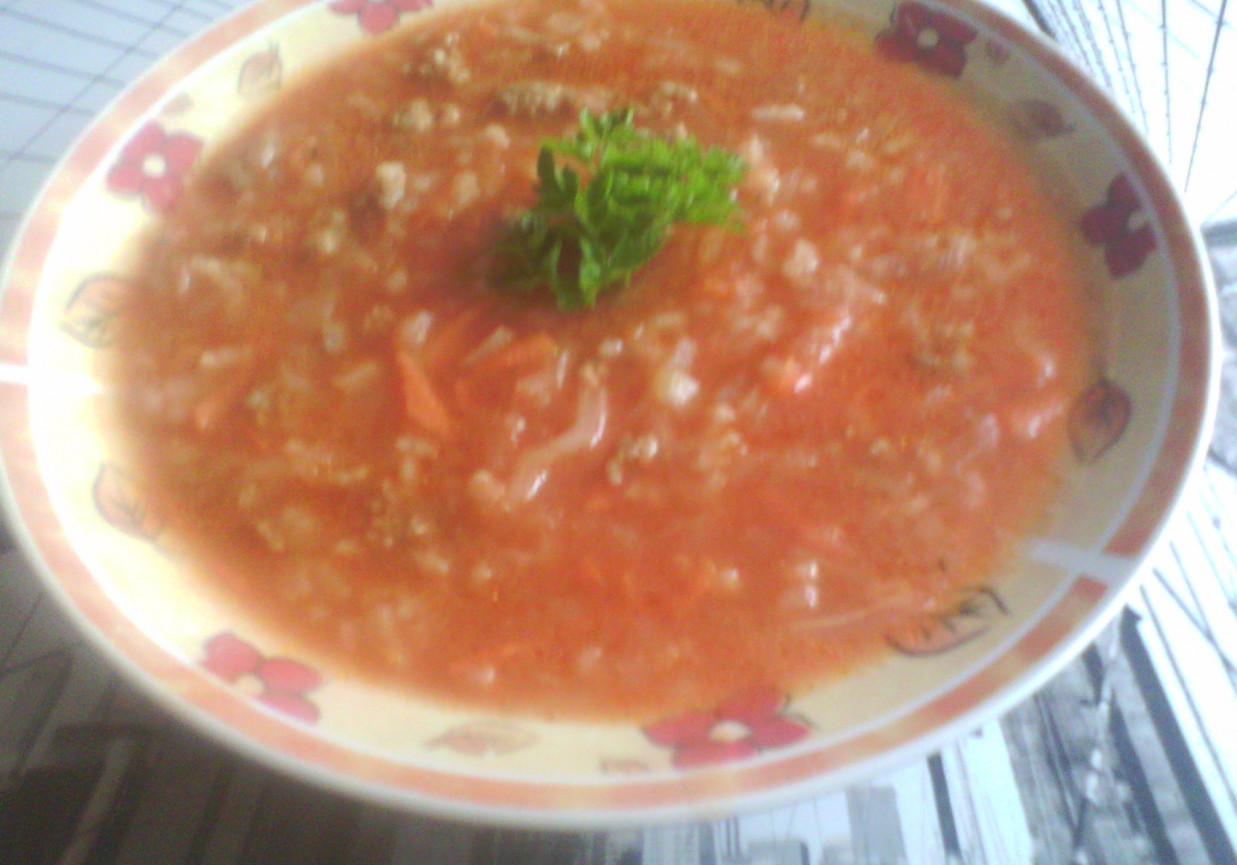 Zupa pomidorowa - gołąbkowa foto