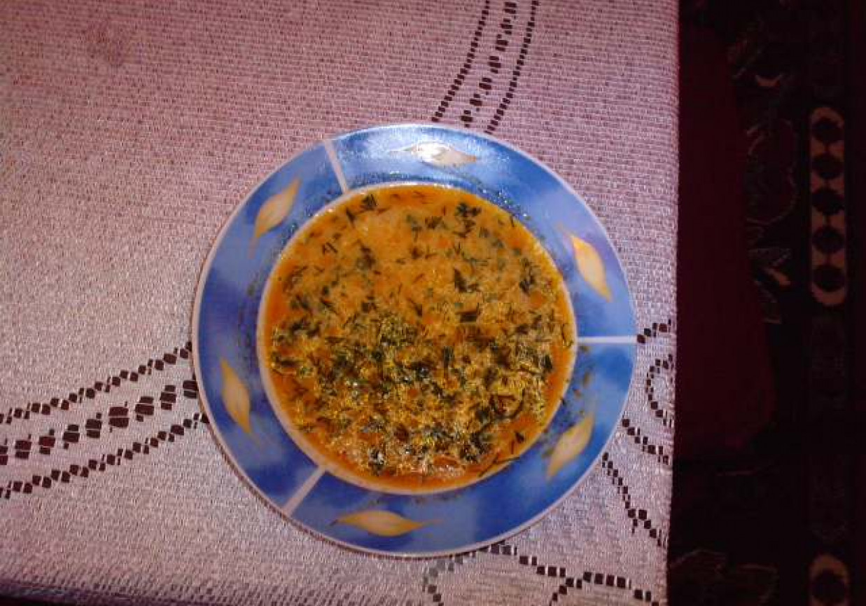 Zupa pomidorowa na rosole wołowym foto