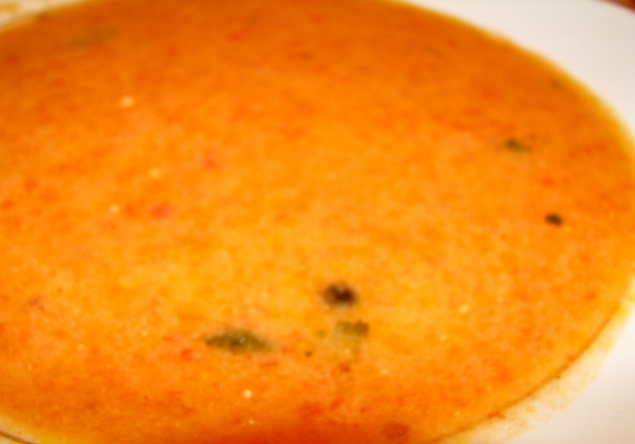 zupa pomidorowa na rosołku foto