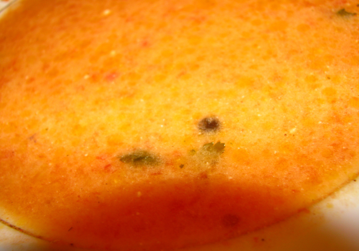 zupa pomidorowa na rosołku foto