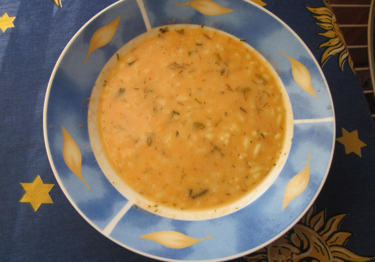 zupa pomidorowa po włosku II foto