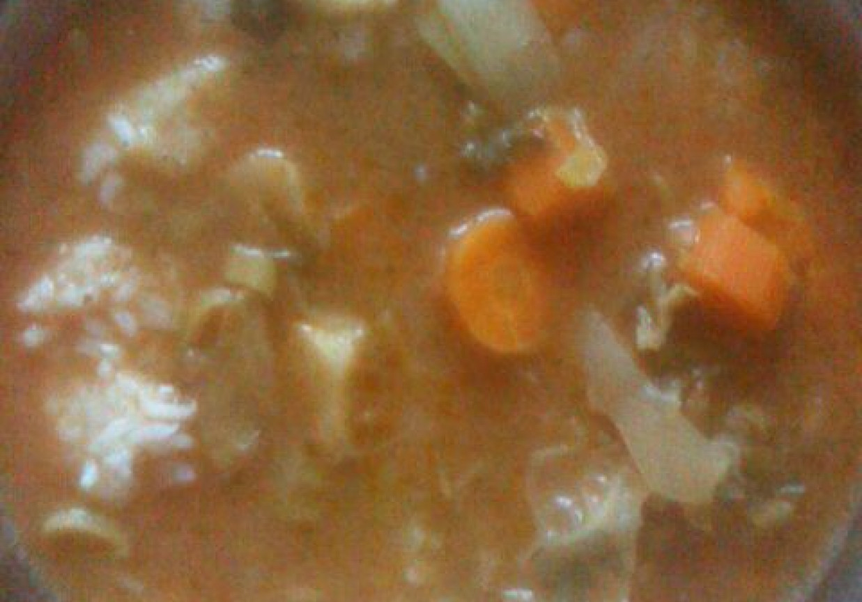 Zupa pomidorowa z dużą ilością warzyw foto