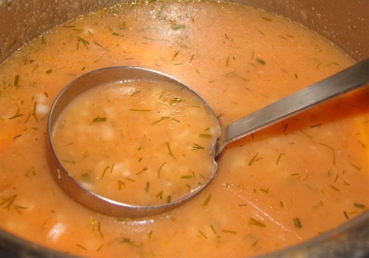 zupa pomidorowa z jabłkiem foto