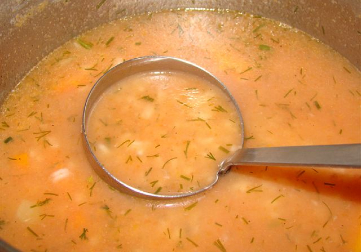 zupa pomidorowa z jabłkiem foto