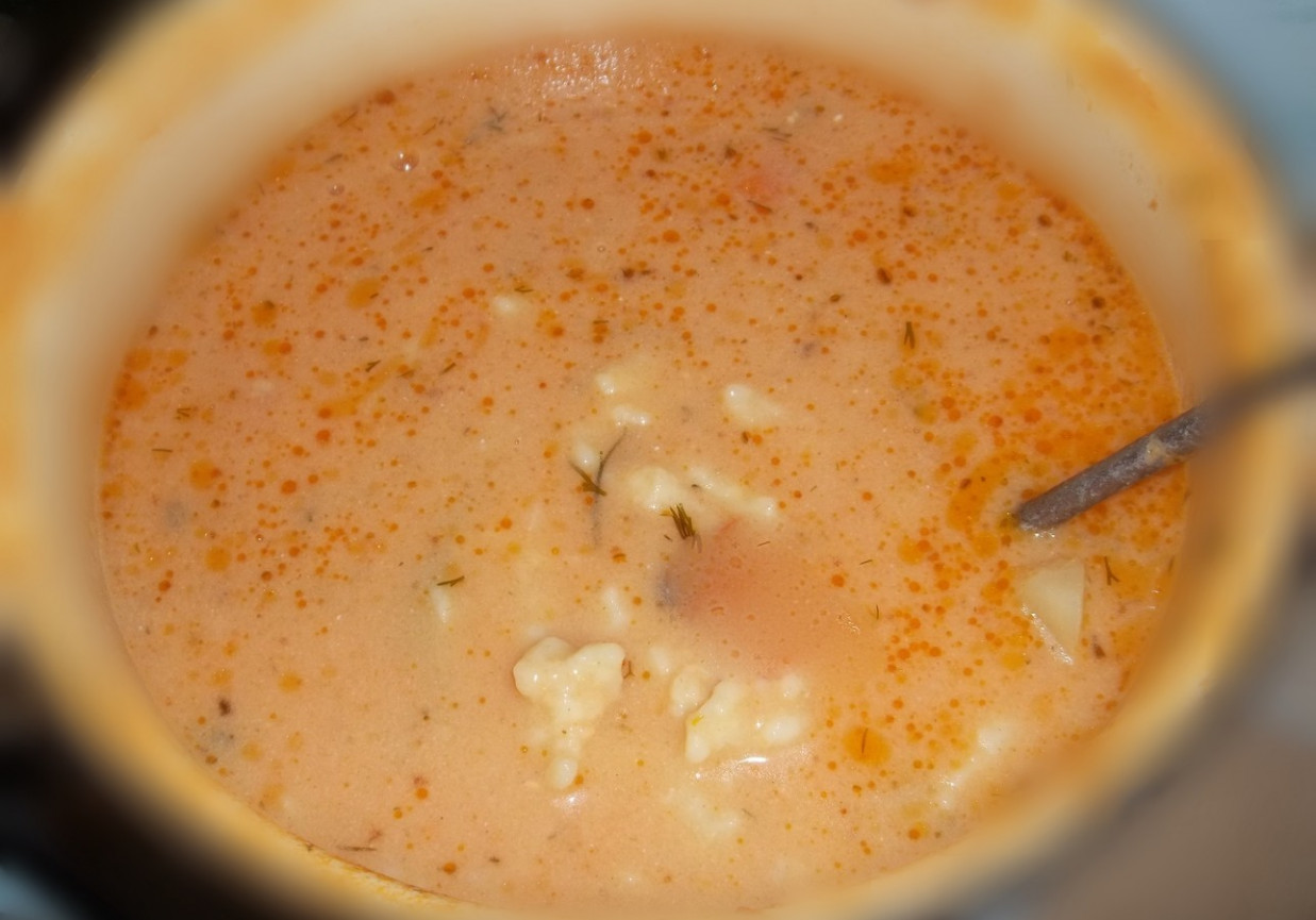 zupa pomidorowa z kluskami lanymi foto