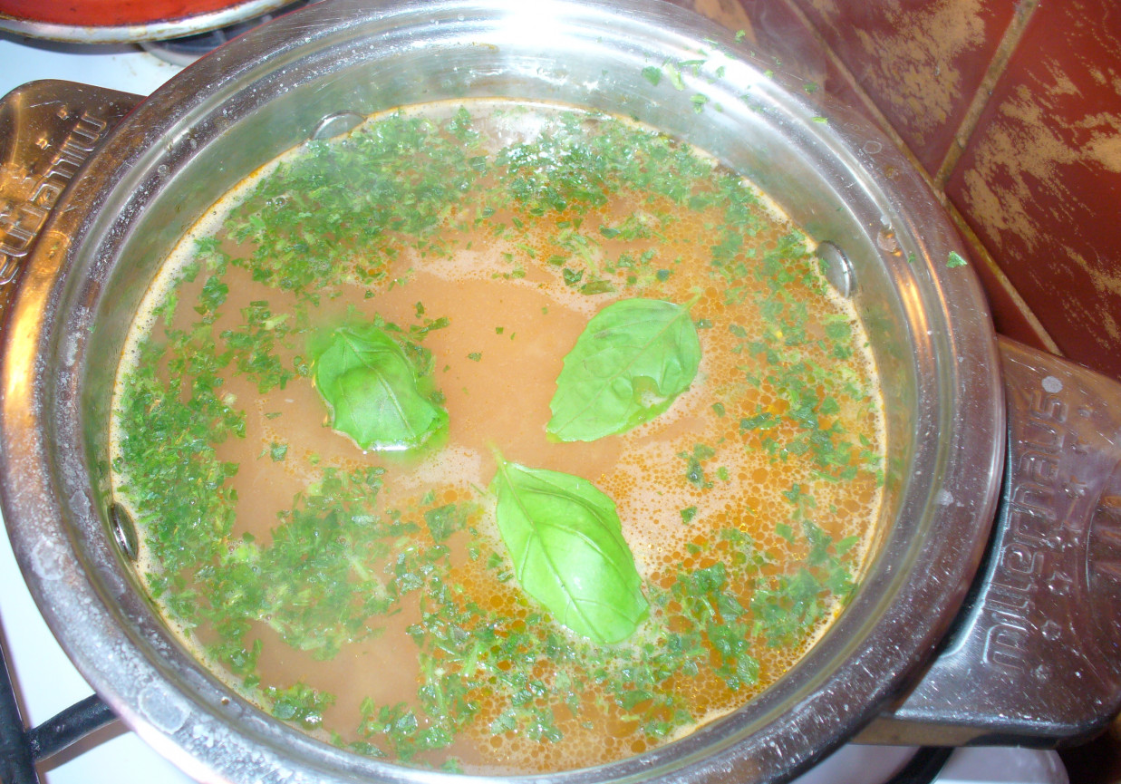 Zupa pomidorowa z makaronem foto