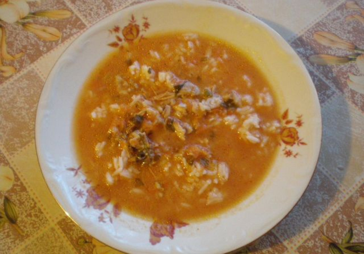 Zupa pomidorowa z mięsem i pieczarkami foto