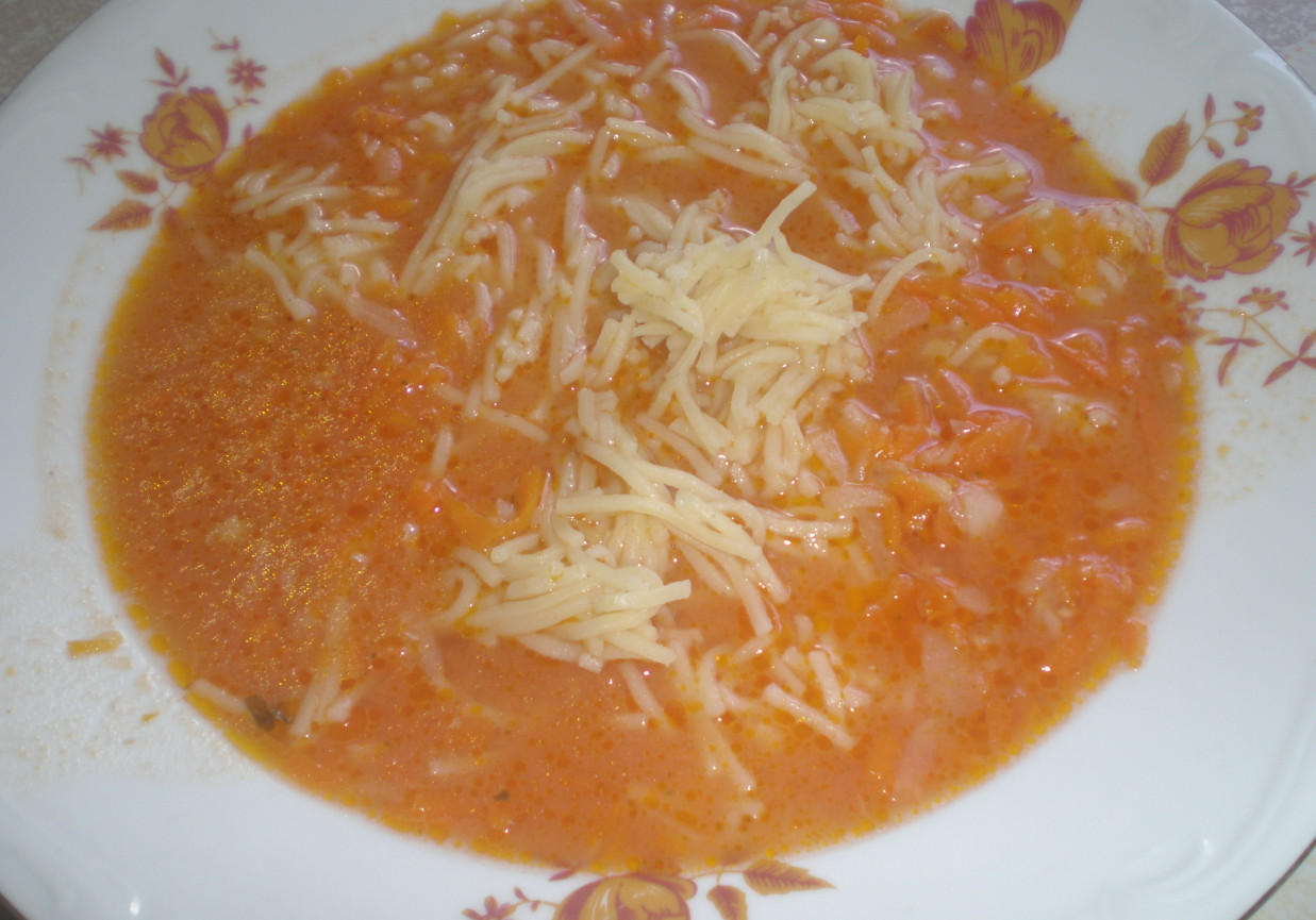 Zupa pomidorowa z mięsem i pieczarkami foto