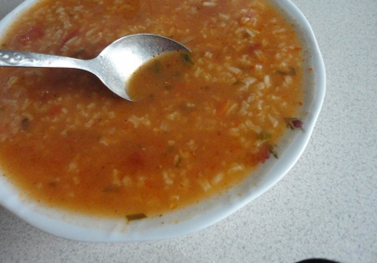 zupa pomidorowa z pomidorem i z ryżem foto