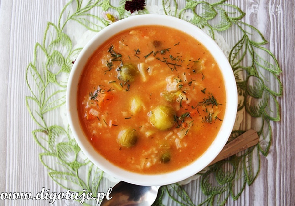 Zupa pomidorowa z ryżem i brukselką  foto