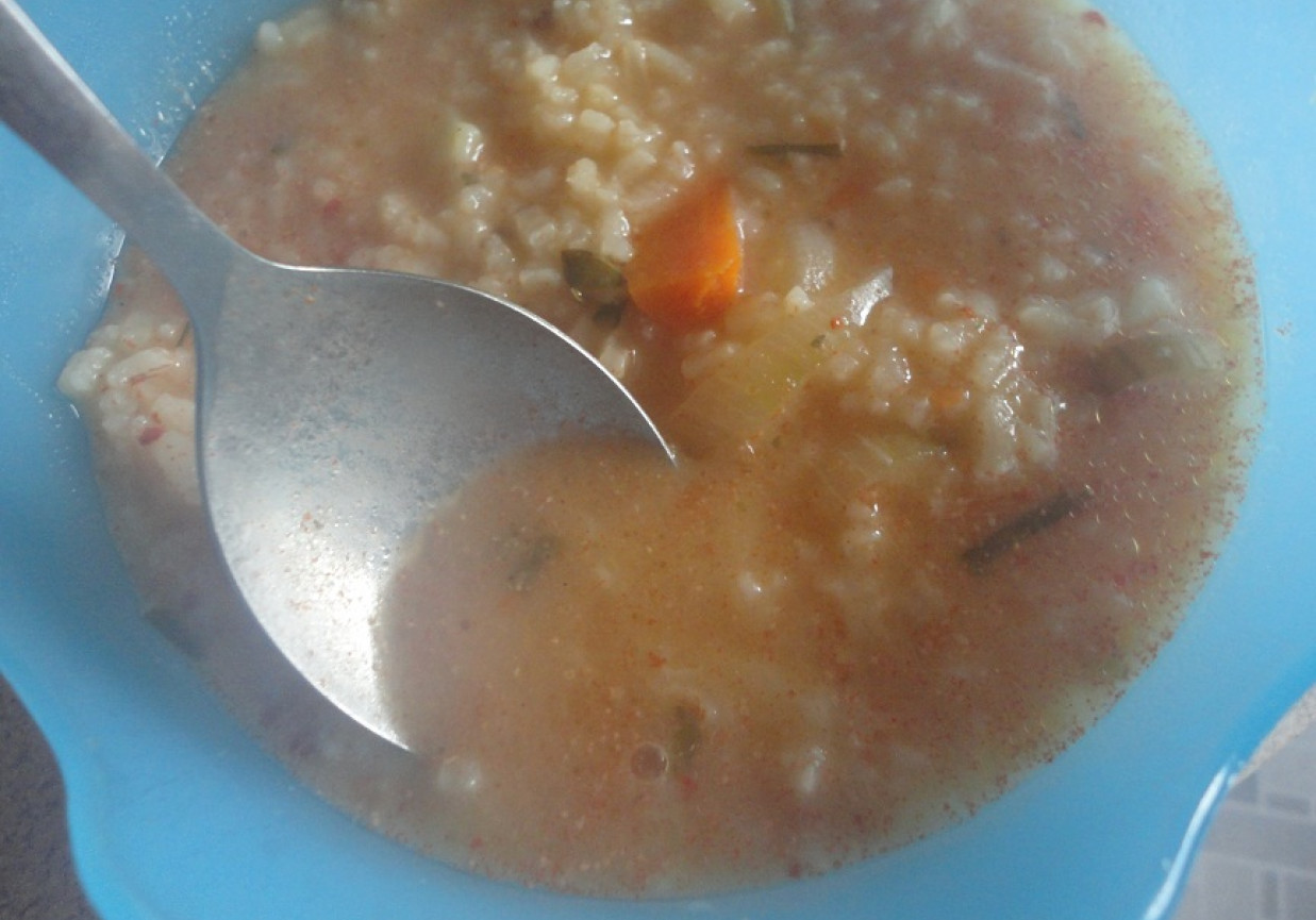 Zupa pomidorowa z ryżem i makaronem z pomidorów foto