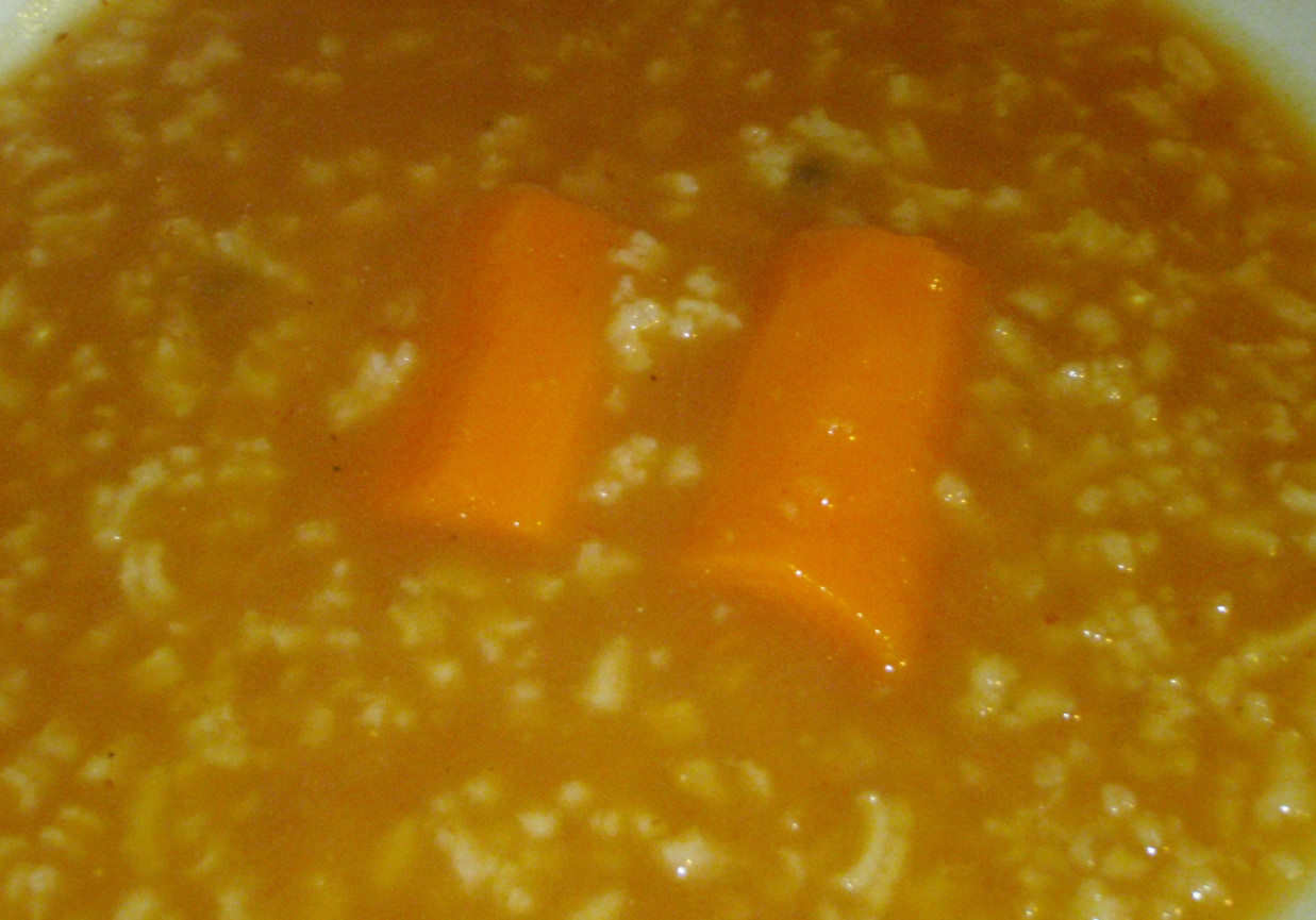 Zupa pomidorowa z ryżem i marchewką foto
