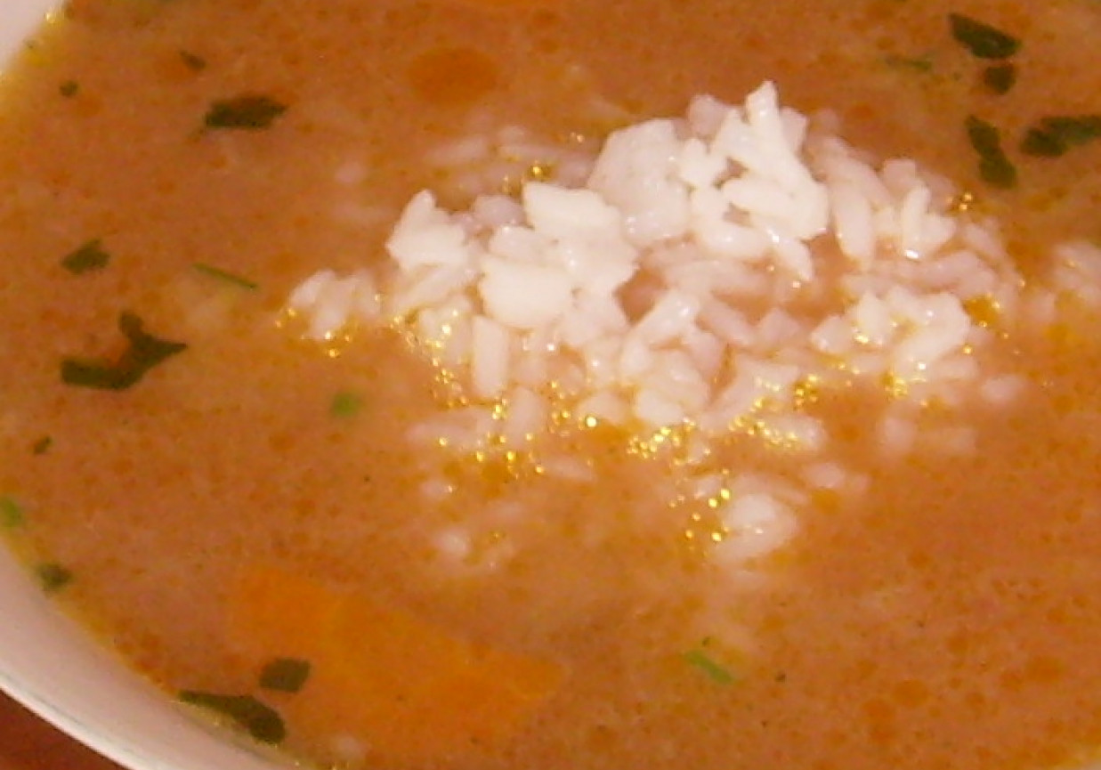 Zupa pomidorowa z ryżem na wołowinie foto