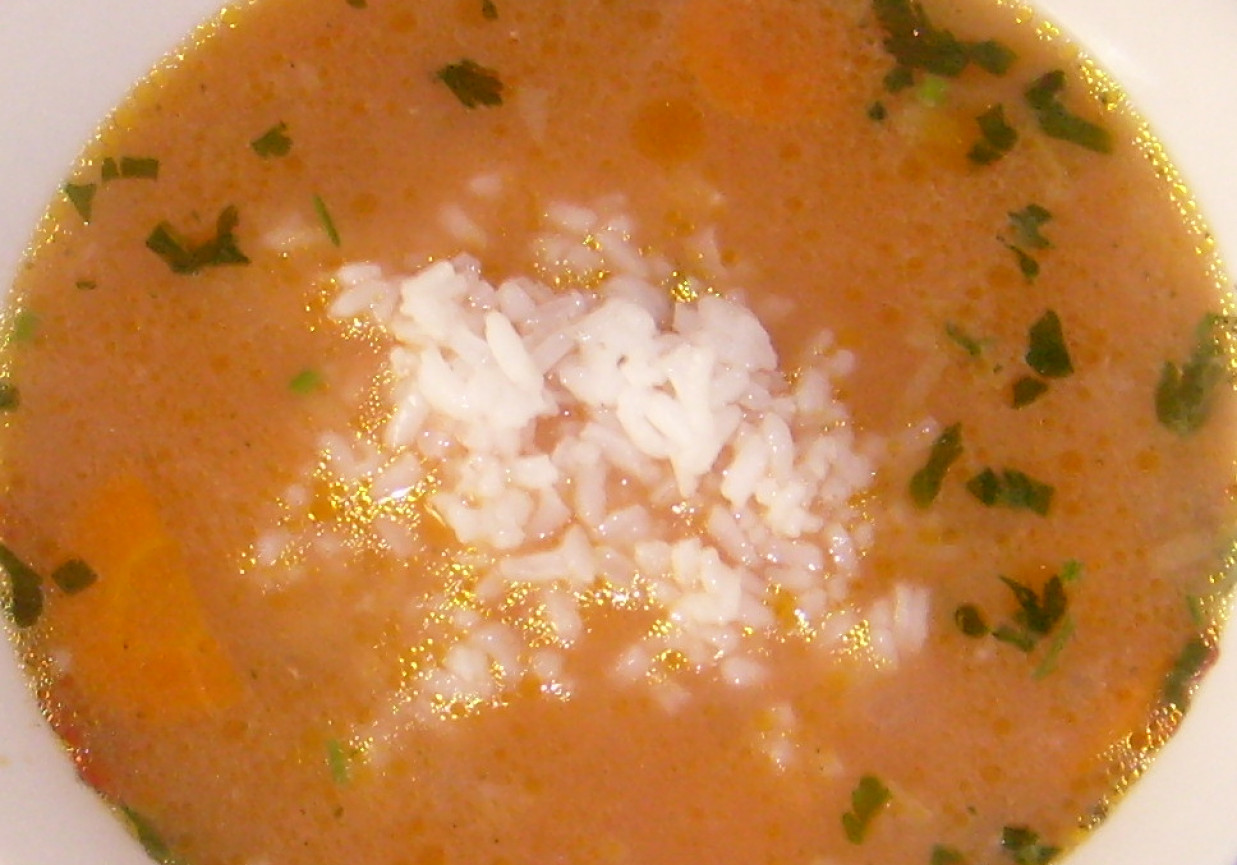Zupa pomidorowa z ryżem na wołowinie foto
