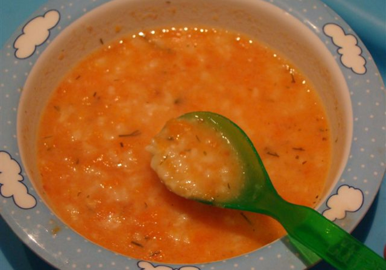 zupa pomidorowa z ryżem DoradcaSmaku.pl