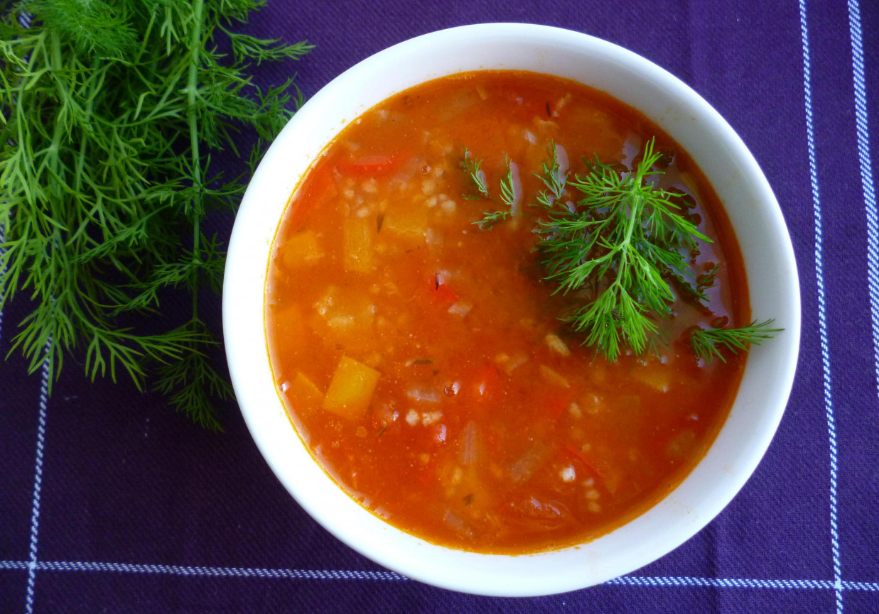 Zupa pomidorowa z soczewicą i papryką foto
