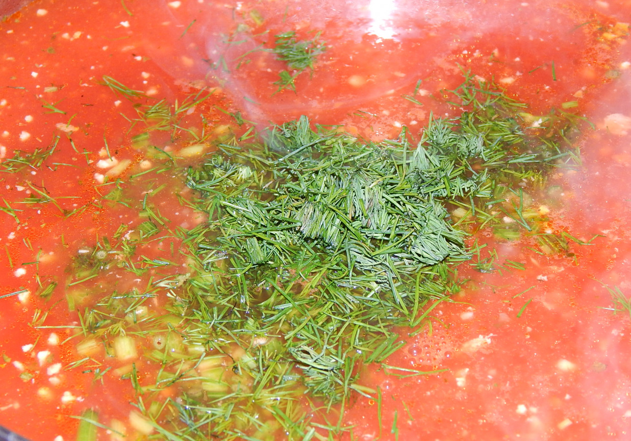 Zupa pomidorowa z soku przecierowego foto
