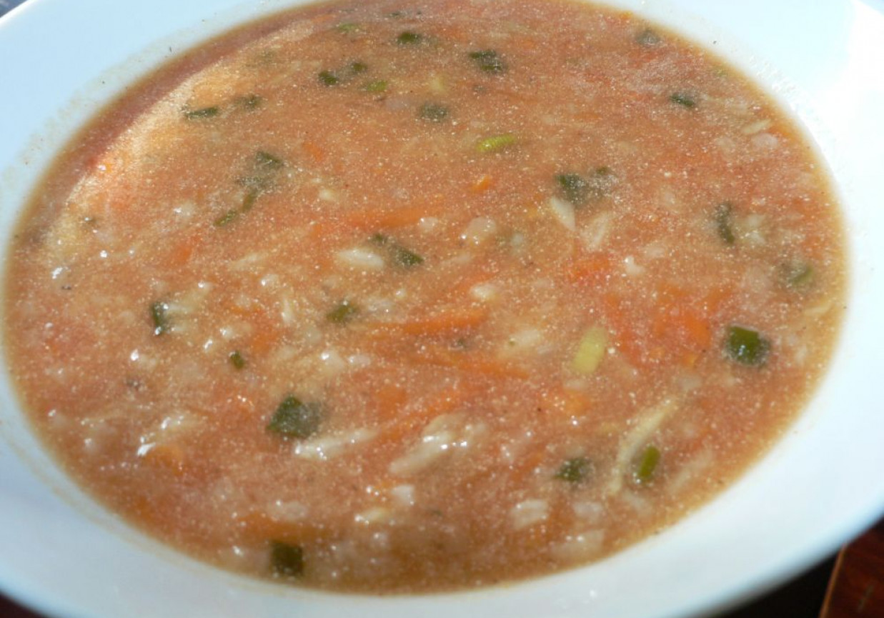 Zupa pomidorowa z zieloną cebulką foto
