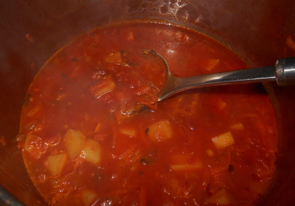 Zupa pomidorowa z ziemniakami foto